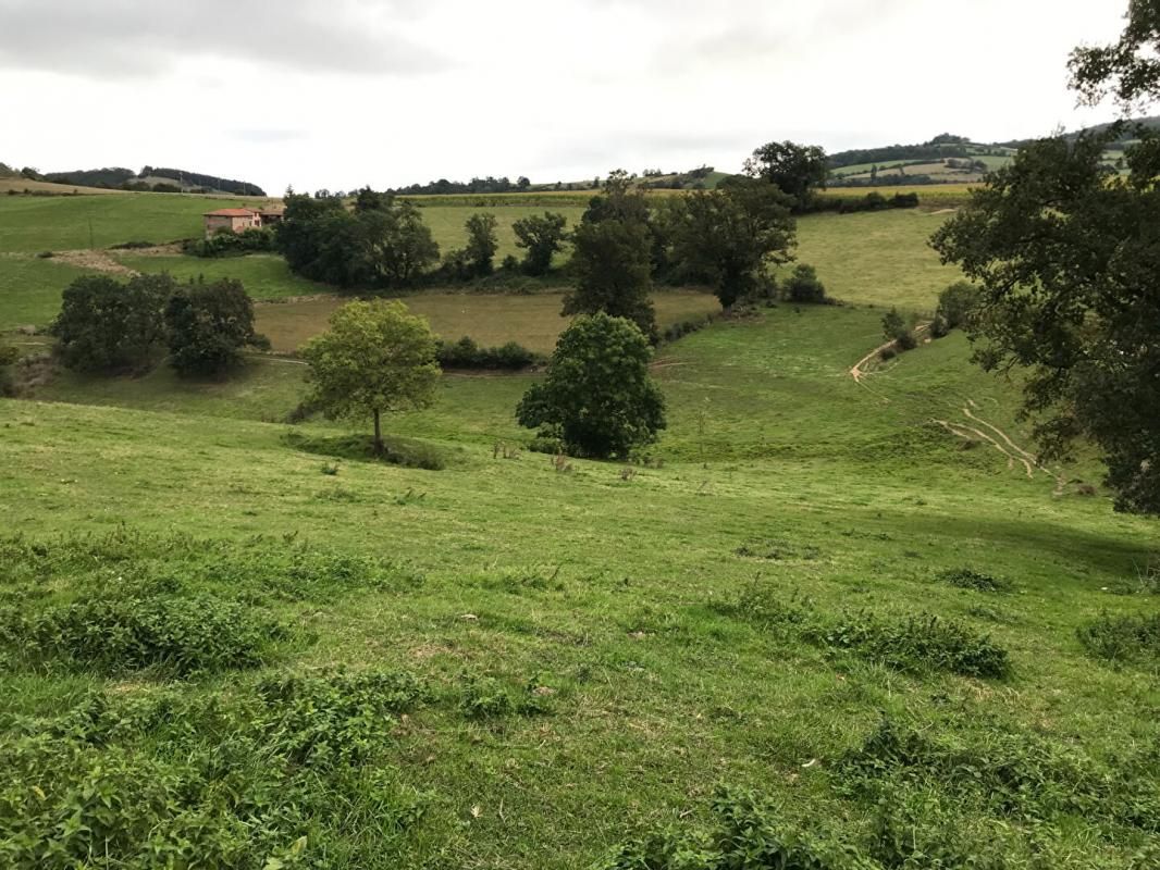 MONTROTTIER Terrain avec permis de construire hauteur de Montrottier 4