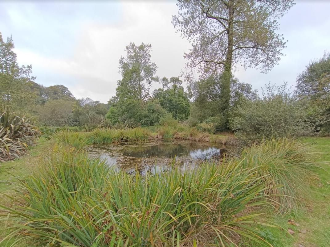 29530 Plonévez du Faou terrain non constructible arboré, entretenu avec pièce d'eau et bois