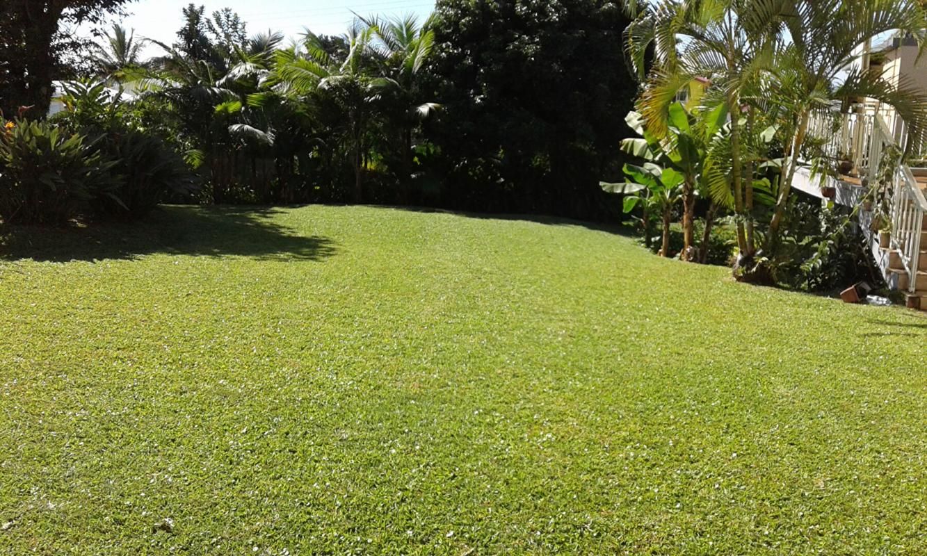 TERRAIN PLAT  de 740 m² A BATIR