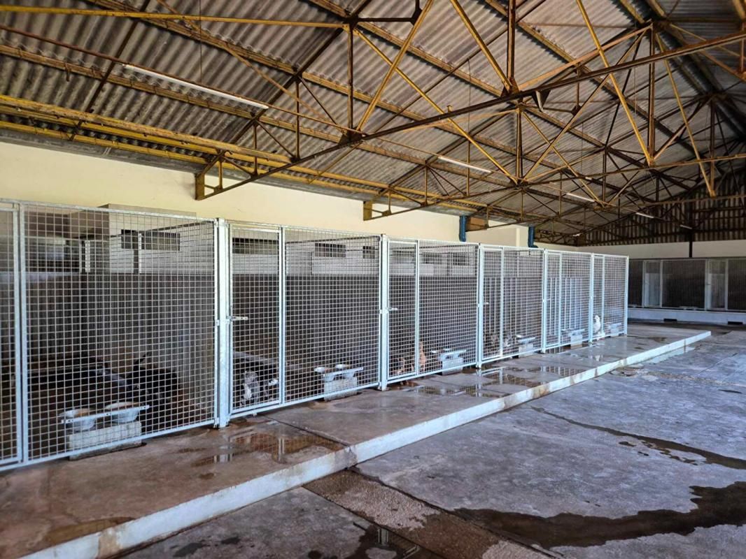 BRANGES Entrepôt à usage d'élevage canin et habitation de 250m2 3