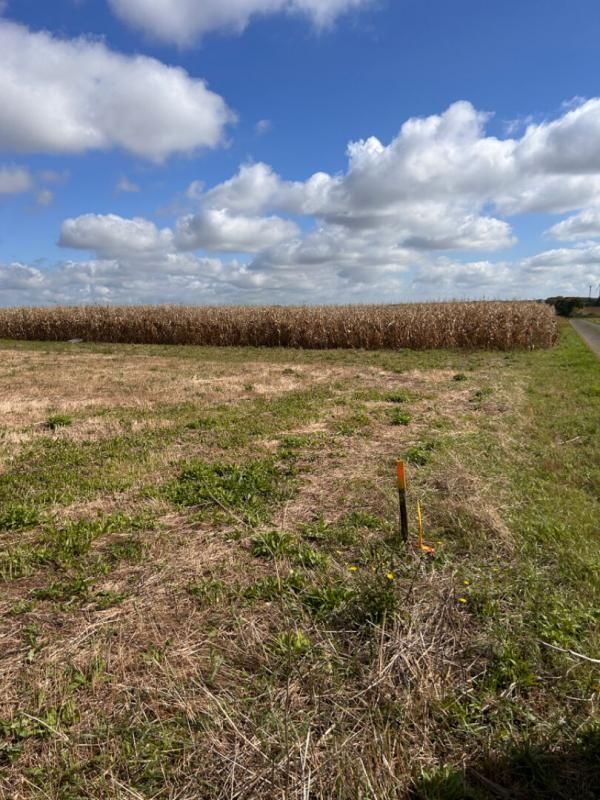 Terrain Saint Aubin La Plaine 1251 m2