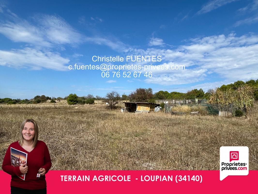 HERAULT - LOUPIAN (34140) - TERRAIN AGRICOLE - BOX A CHEVAUX - CHENIL