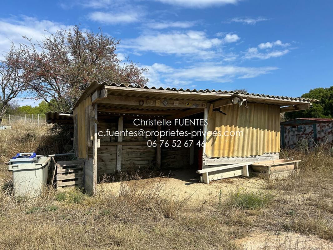 LOUPIAN HERAULT - LOUPIAN (34140) - TERRAIN AGRICOLE - BOX A CHEVAUX - CHENIL 2