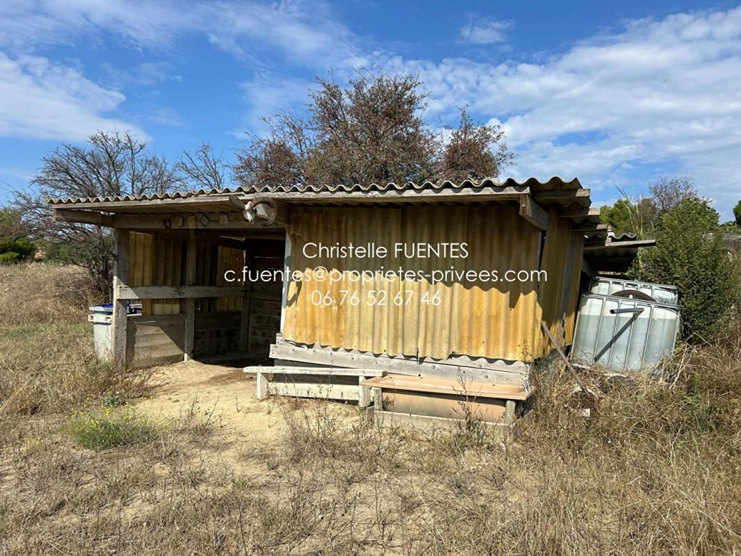 LOUPIAN HERAULT - LOUPIAN (34140) - TERRAIN AGRICOLE - BOX A CHEVAUX - CHENIL 3