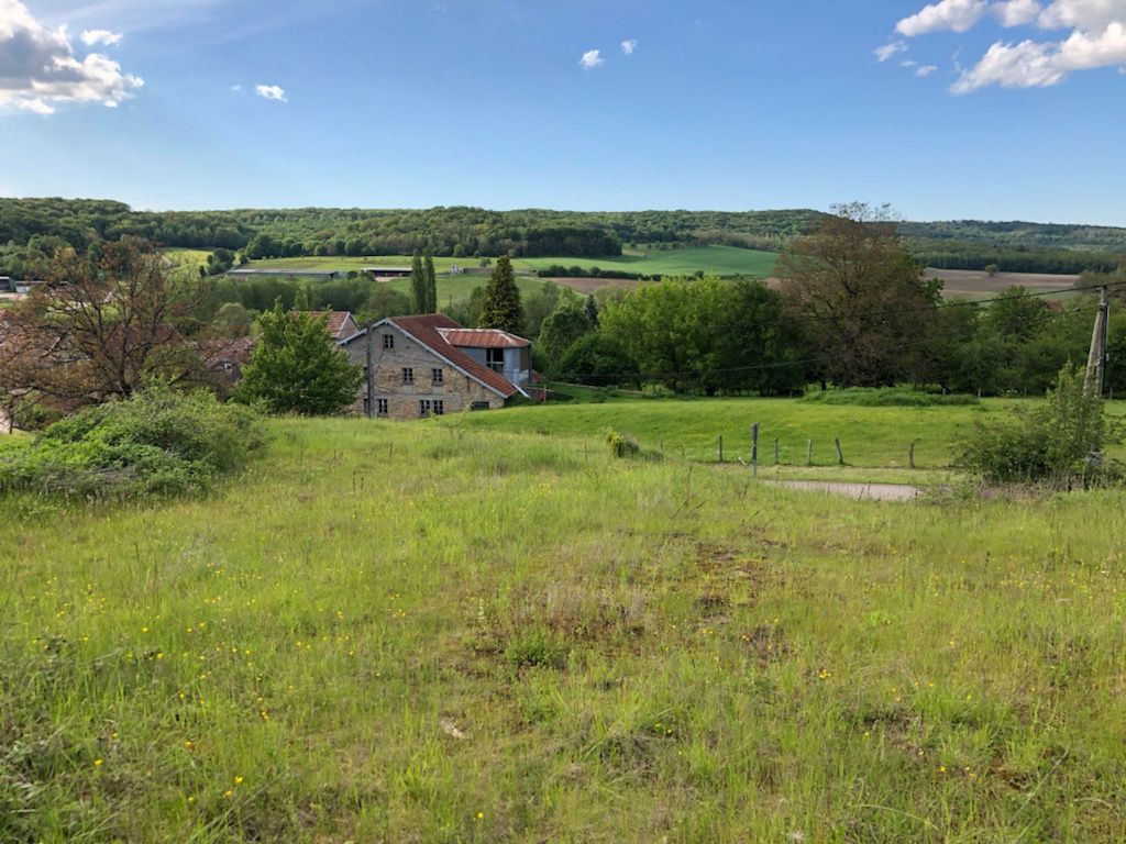 Terrain de 1020 m2 viabilisé sur la commune de La Creuse (70240) au prix de 25 990 Euros