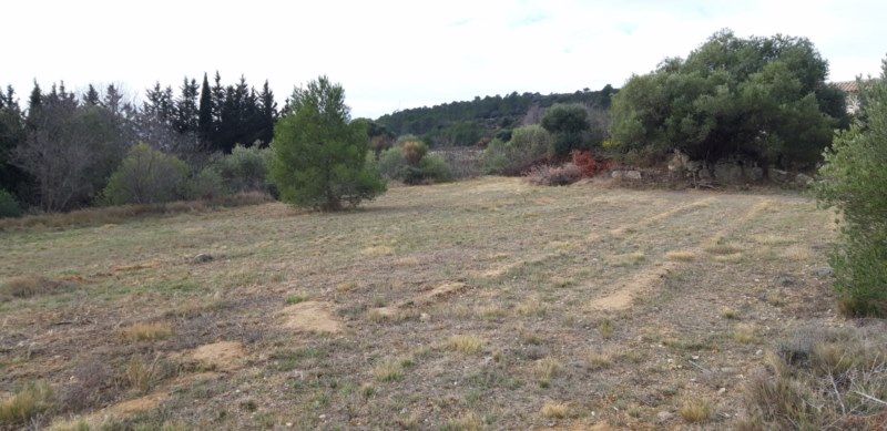 MAILHAC Terrain constructible et viabilisé Mailhac 3