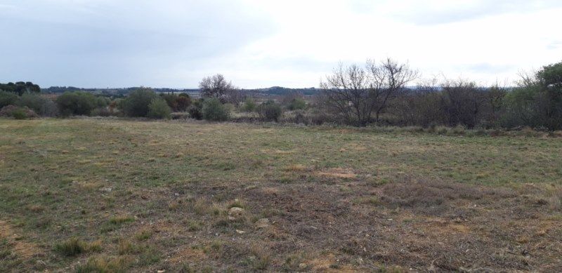 Terrain Mailhac viabilisé et constructible 1296 m2