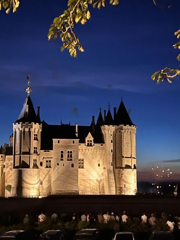 HOTEL PARTICULIER AU COEUR DU SECTEUR HISTORIQUE De SAUMUR