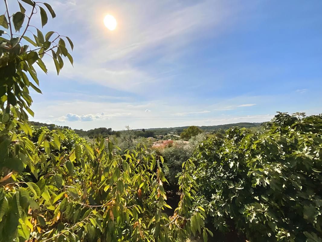 FLAYOSC Magnifique maison de 180 m² avec jardin paysagé de plus de 2000 m² ? Un véritable bijou entre Flayosc et Draguignan ! 3