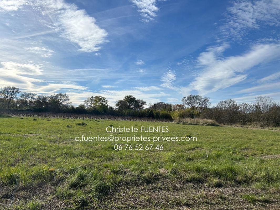 LOUPIAN HERAULT - LOUPIAN (34140) - TERRAIN DE LOISIRS - 2420M2 2