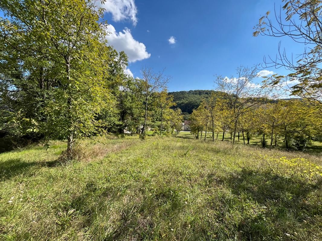 Terrains Saint Hilaire De Lusignan 29866 m²