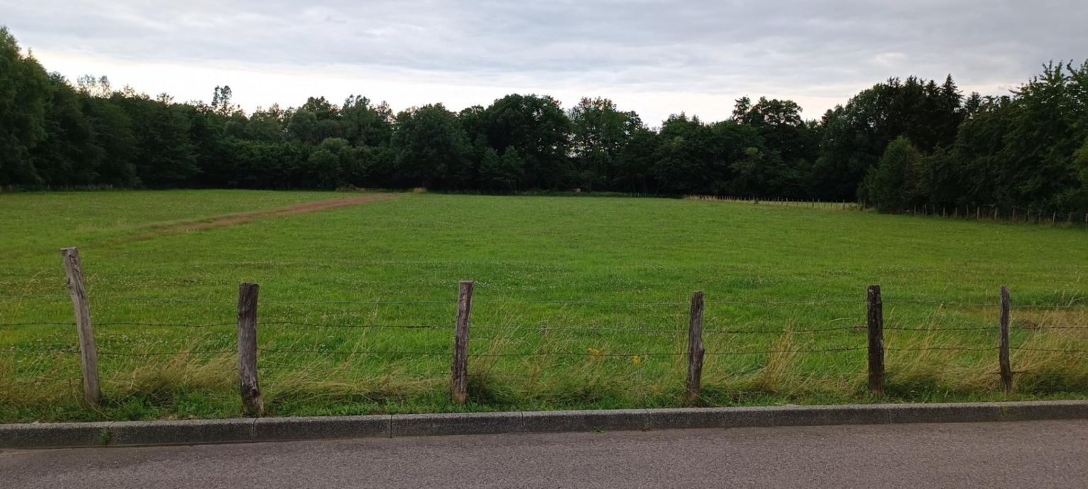 LUXEUIL-LES-BAINS Terrain constructible.  9159 M2 m2 2