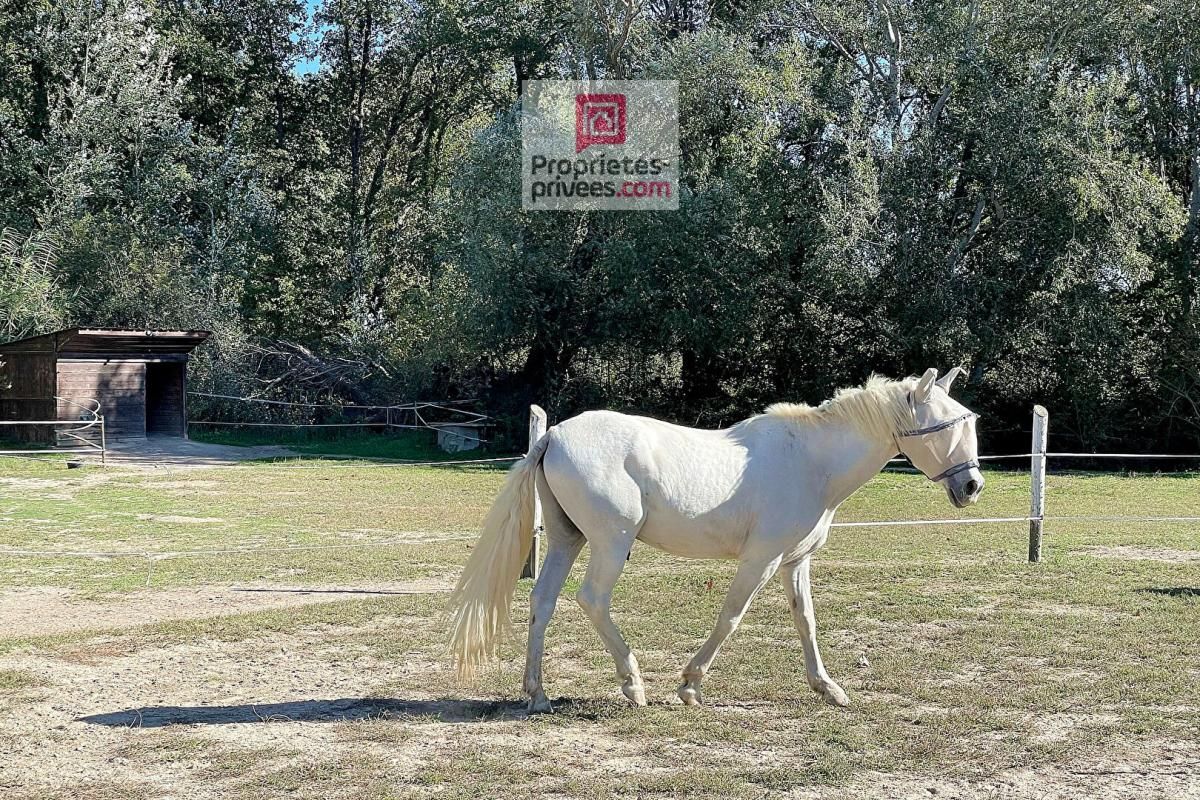 LA MOTTE-D'AIGUES Ravissante propriété à vocation équestre 2