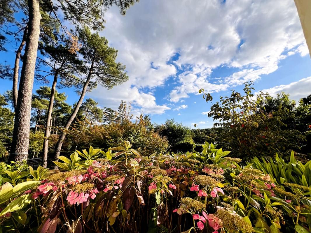 VANNES Propriété Vannes-3978 m2 au calme-GOLFE DU MORBIHAN 4