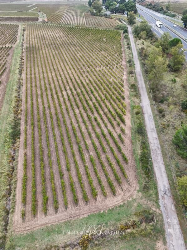 LEZIGNAN-CORBIERES Propriété viticole au coeur des Corbières 3