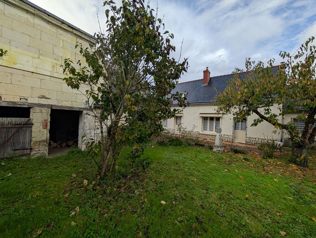 CHOUZE-SUR-LOIRE EXCLUSIVITE - ENSEMBLE DE 2 MAISONS -37140 CHOUZE  SUR LOIRE 3