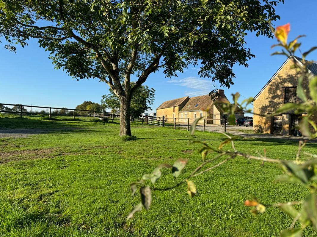 Propriété équestre Precigne 5 pièce(s) 100m2