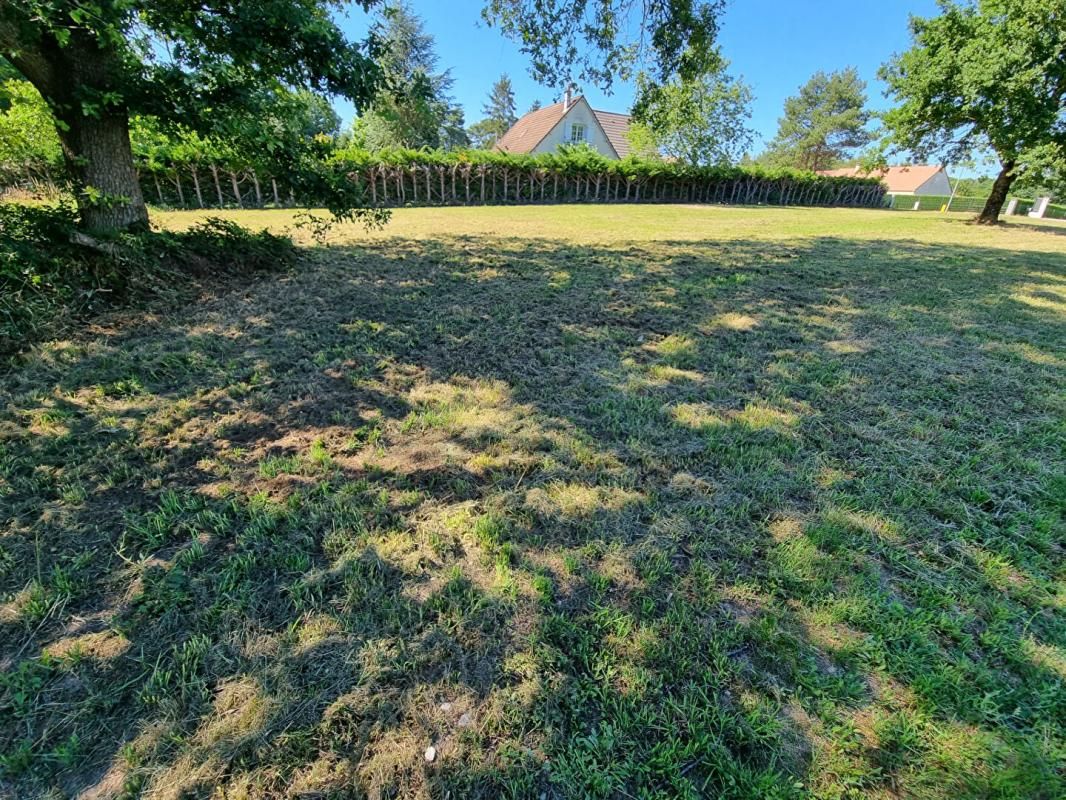 LES BORDES Terrain à Bâtir de 1640 m² + terrain non constructible de 5693 m²² 3