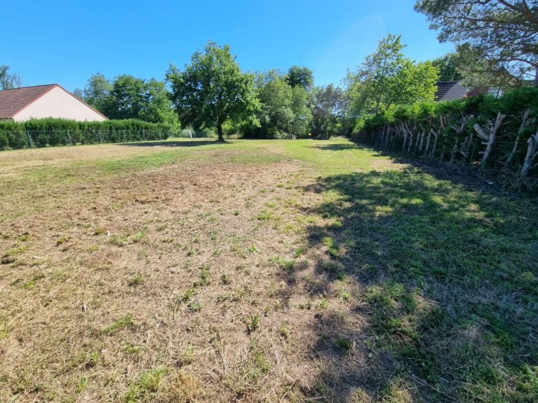 LES BORDES Terrain à Bâtir de 1640 m² + terrain non constructible de 5693 m²² 4