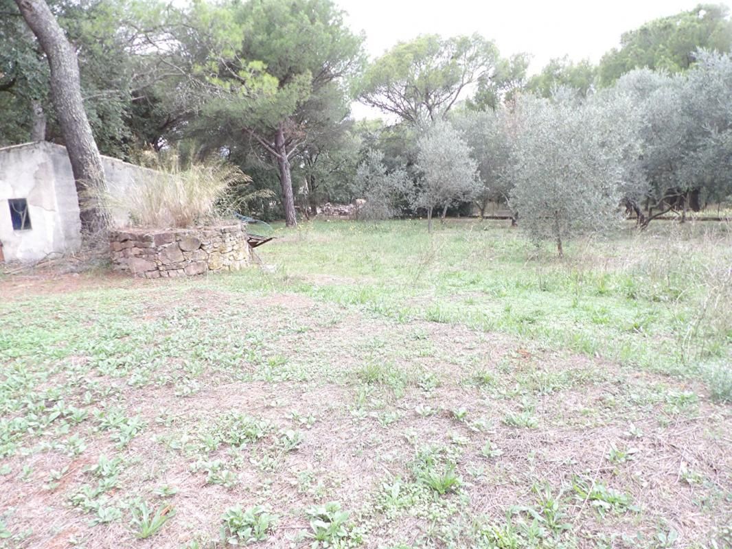 LE CANNET-DES-MAURES Le Cannet Des Maures TAB plat 1200 m2 1