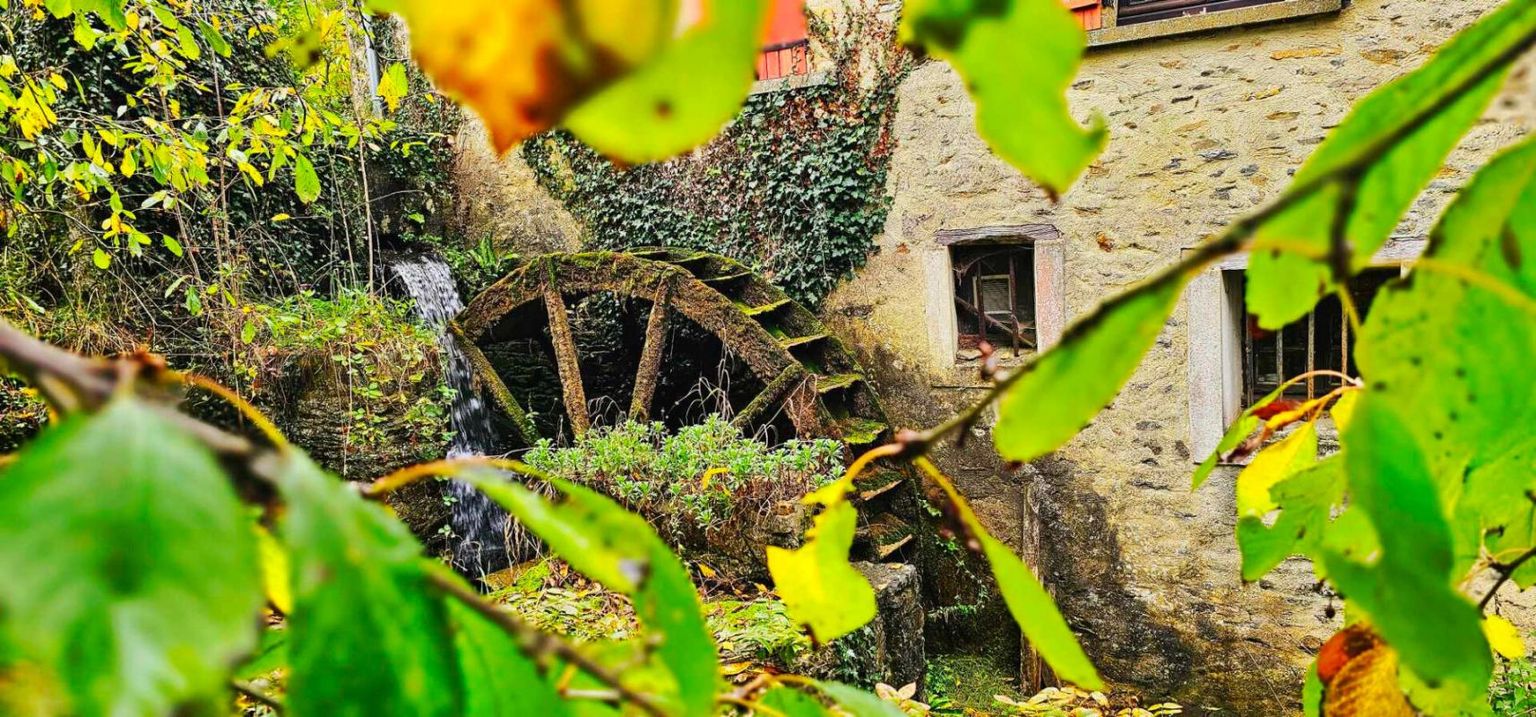 LE MANS MOULIN AUTHENTIQUE SUR 1hect 3 , AVEC ETANG 4