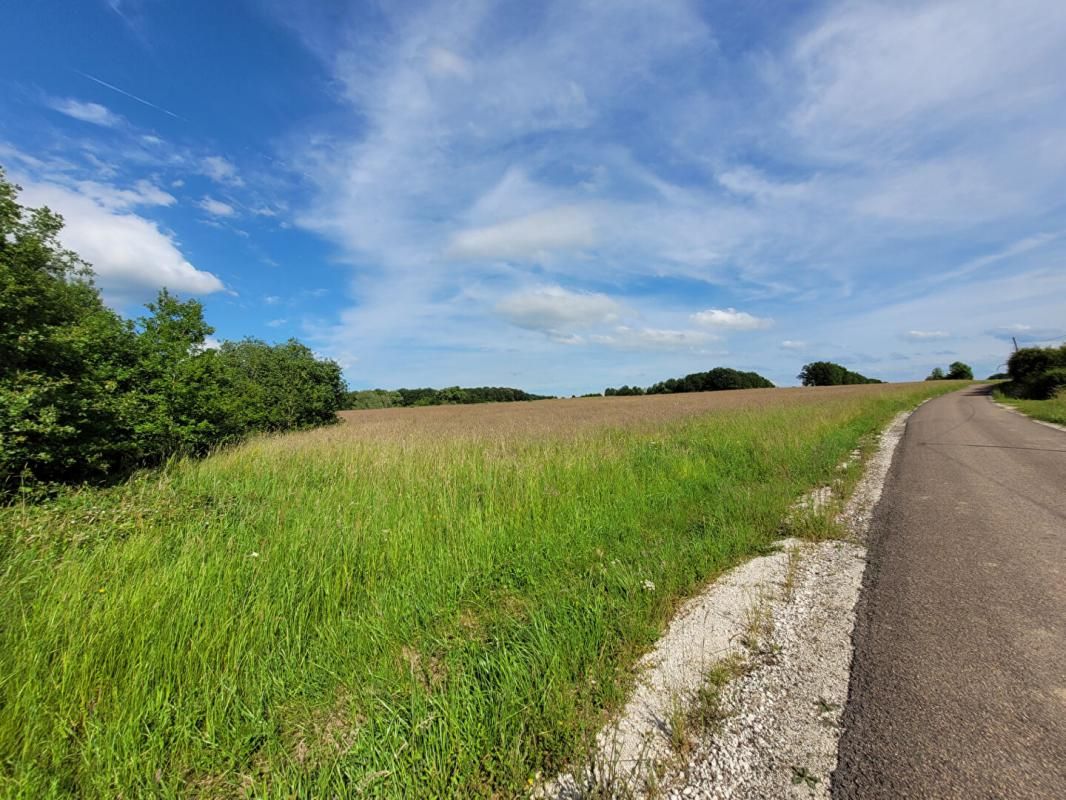 Terrain à bâtir de 1.5 hectare