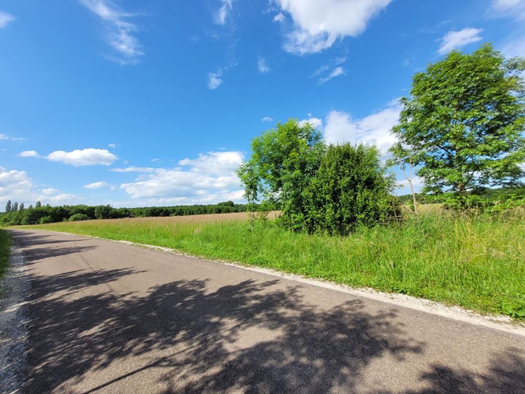 CHAOURCE Terrain à bâtir de 1.5 hectare 3