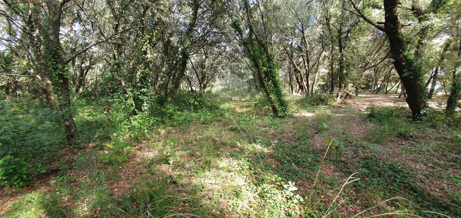 UZES Uzès, terrain de 2600 m2 2