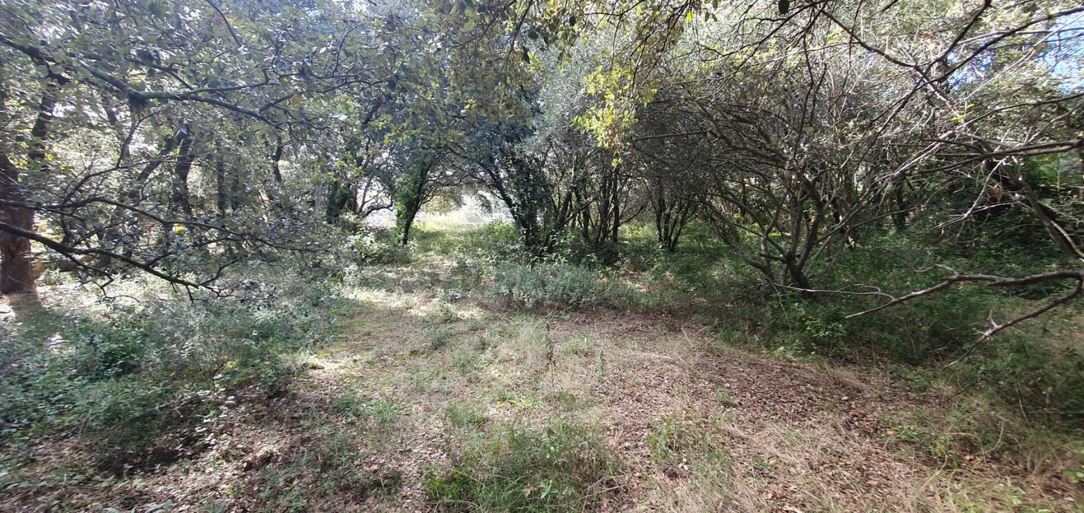 UZES Uzès, terrain de 2600 m2 3