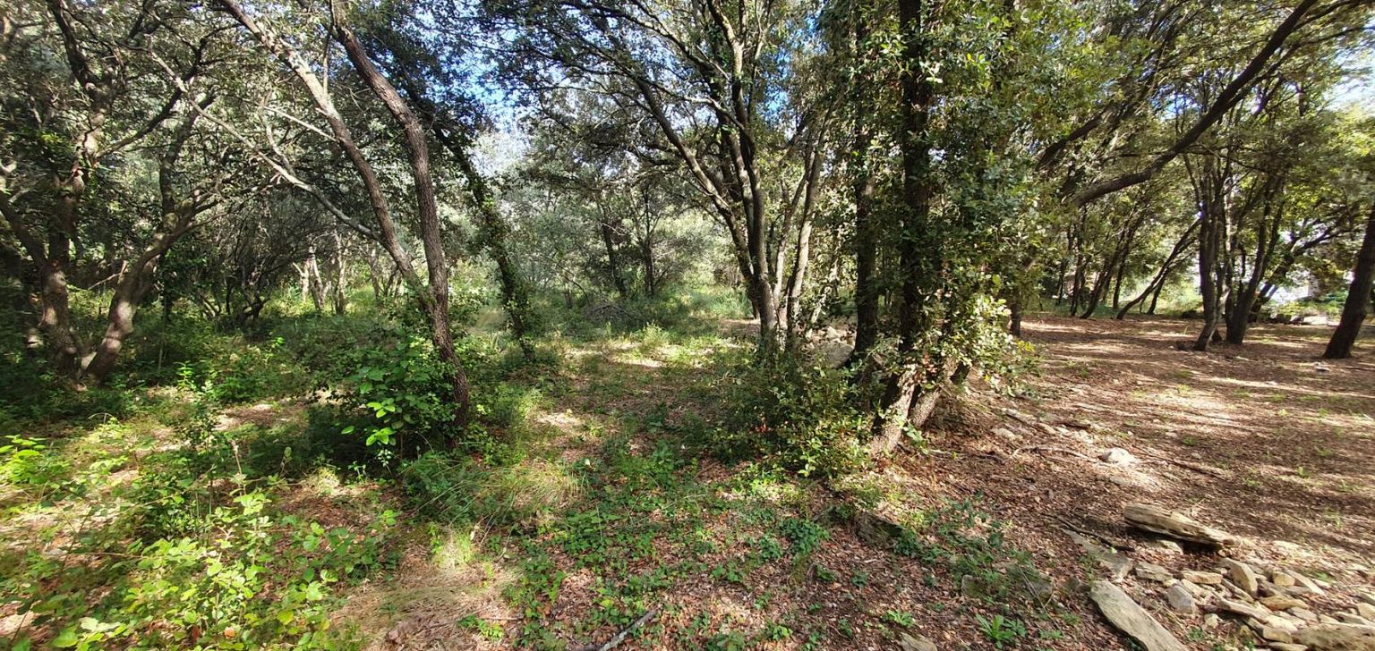 UZES Uzès, terrain de 2600 m2 4