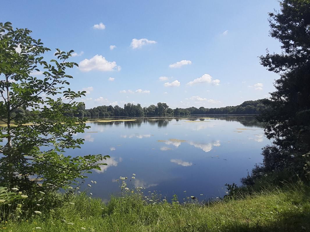 VILLENEUVE-D'ASCQ T4 Duplex avec balcon au pied du Lac du Héron 1