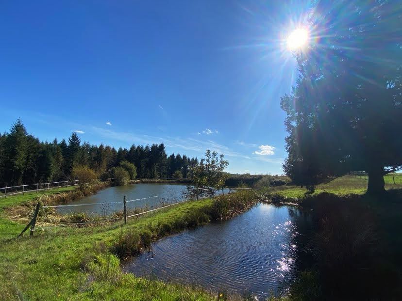 SARLANDE Fermette avec etang et ses 2,8ha de terrain à Sarlande 6 pièce(s) 139 m2 3