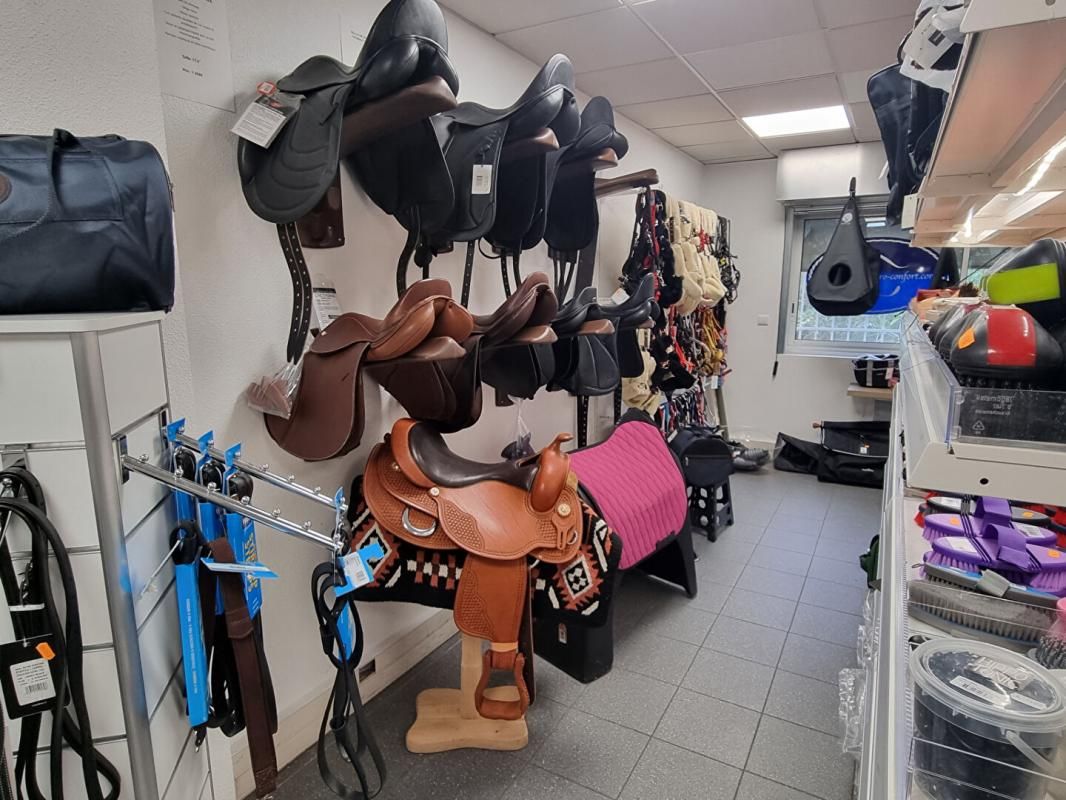 EXCLUSIVITE SELLERIE - Equipements pour cavalier et chevaux, avec stock