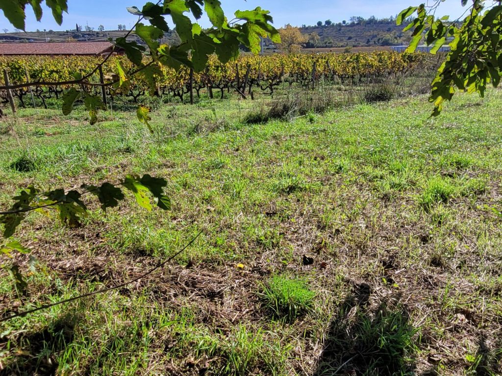 JOYEUSE Terrain  Lablachère de 472 m2 2