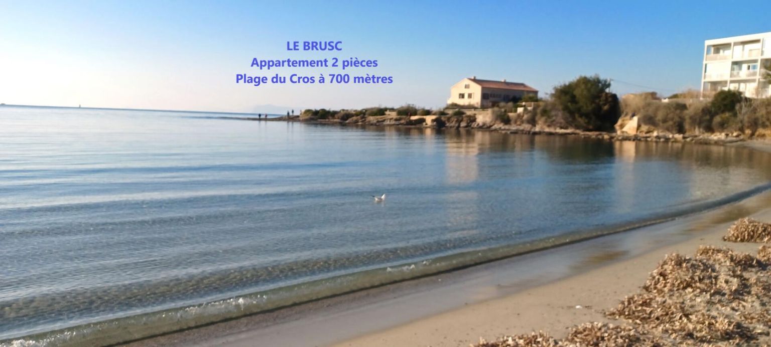 Appartement 2 pièces - Plage du Cros à 700 mètres