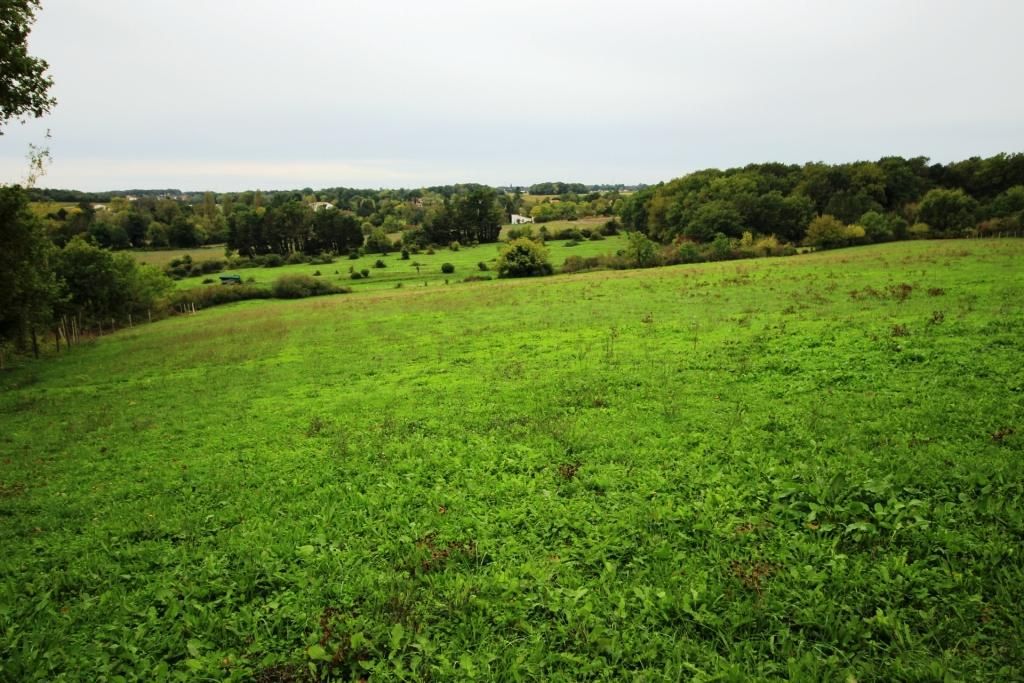 PONS PONS : Anciens chais de 500 m² au sol + 6 ha de terres 2