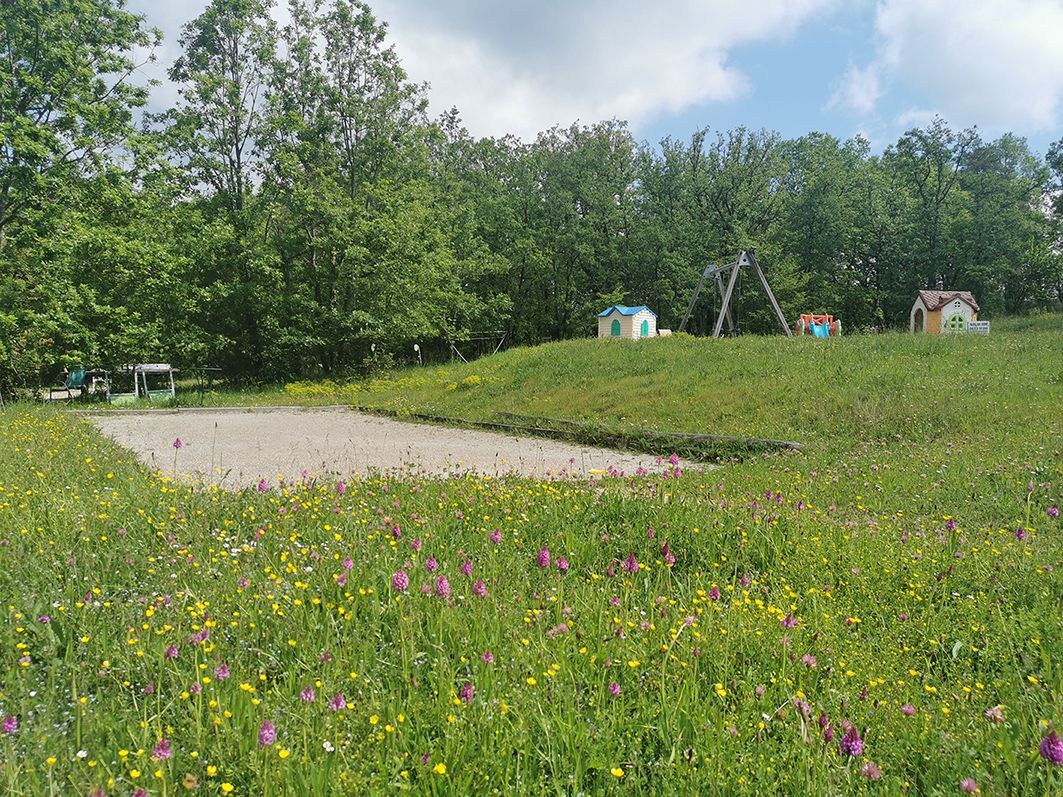 MONTIGNAC Propriété de loisirs La Chapelle Aubareil 32 pièce(s) 596 m²2 3