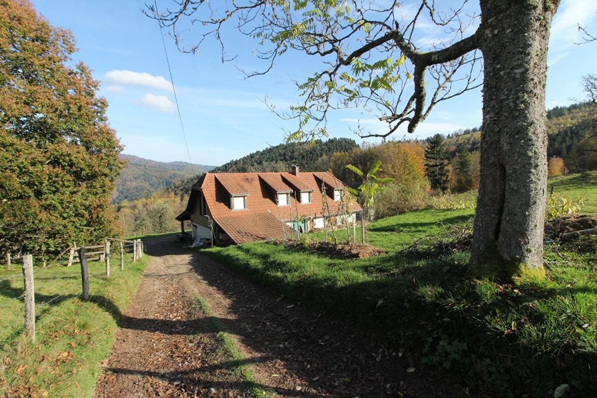 Propriété en altitude sur 6,5 hectares