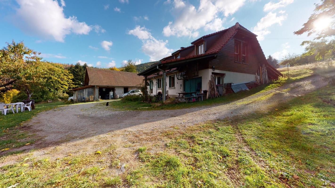 MASEVAUX Propriété en altitude sur 6,5 hectares 2