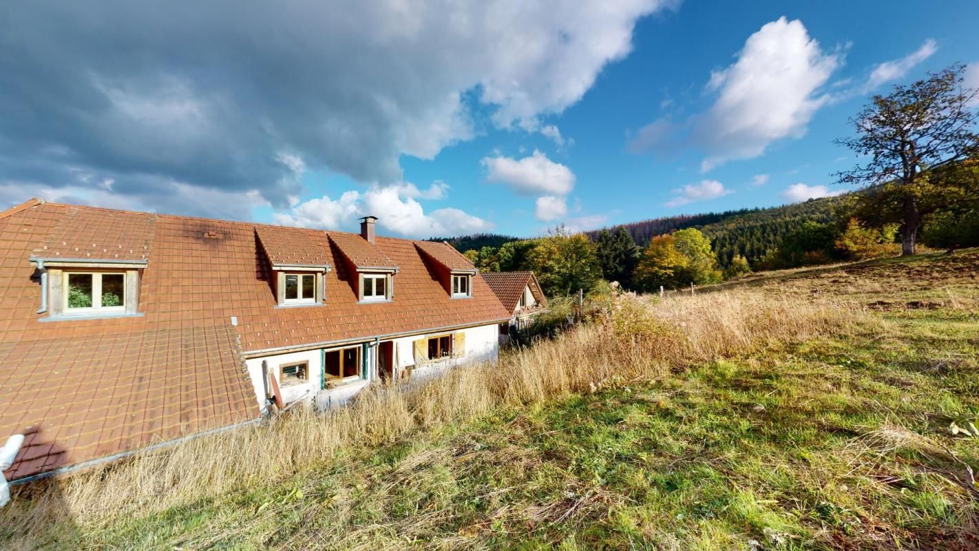 MASEVAUX Propriété sur 6,5 hectares 4