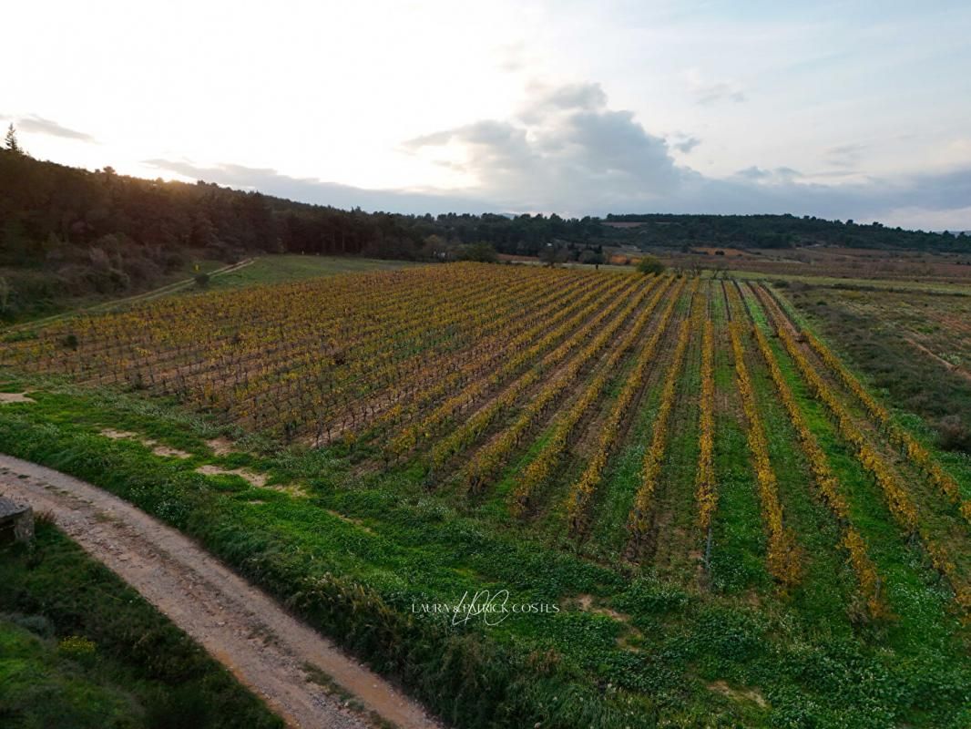 SECTEUR LEZIGNAN CORBIERES - Domaine Viticole, EXPLOITATION ET FONCIER