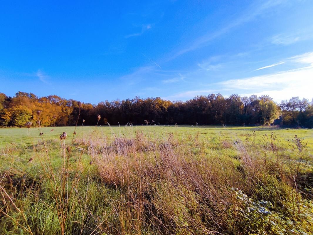 PREUILLY-SUR-CLAISE Ferme PREUILLY SUR CLAISE  6 pièce(s) 154 m2  sur 17 HA 4