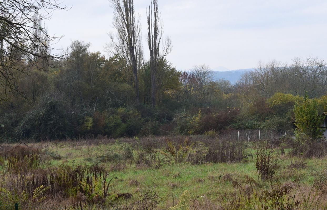 VICHY Villa neuve très bien située 2