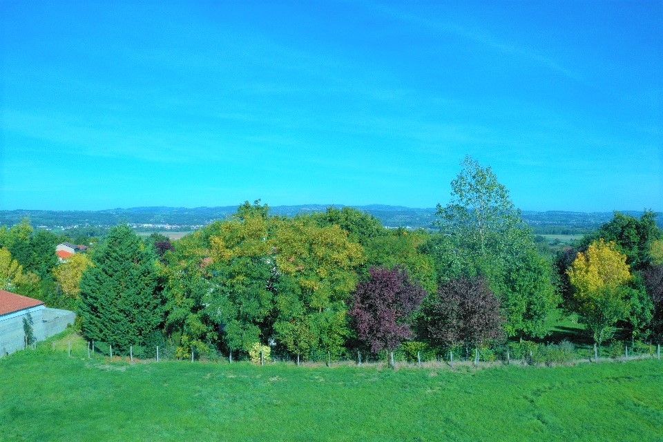 Terrain de 4 000 m² avec vue