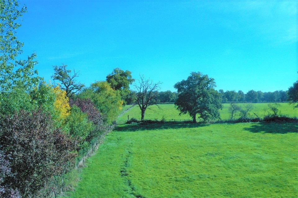 BALBIGNY Terrain de 4 000 m² avec vue 2