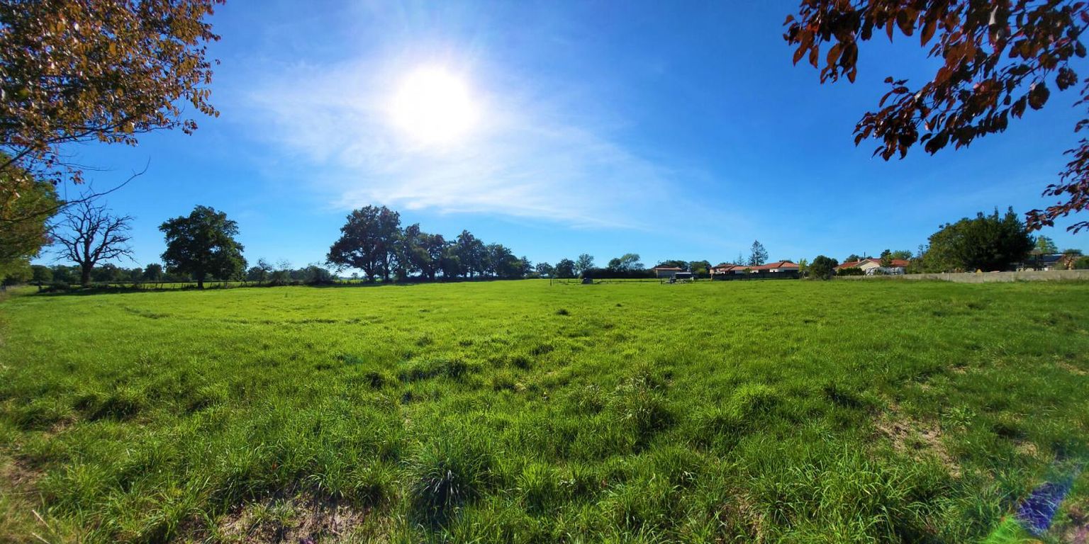 BALBIGNY Terrain de 4 000 m² avec vue 4