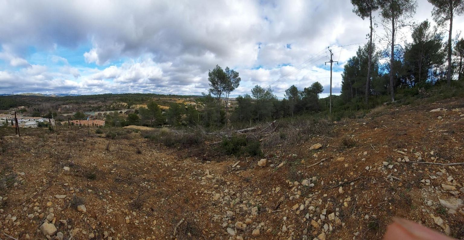 MURVIEL-LES-BEZIERS TERRAIN CONSTRUCTIBLE DE 2083M² 4