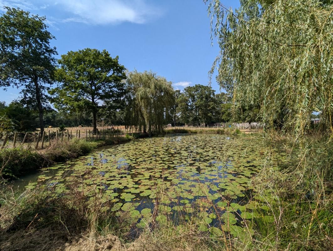 SAINTE-ANNE-SUR-BRIVET Maison, terrain 1 hectare 3