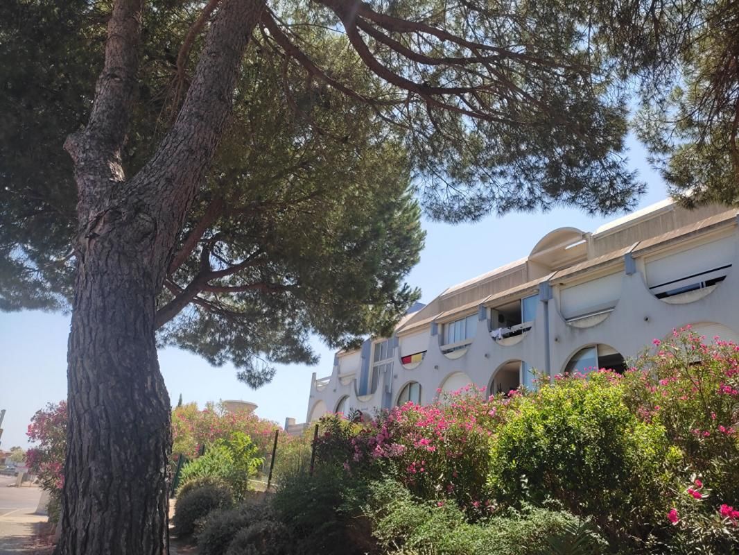 LE GRAU-DU-ROI Studio avec loggia et terrasse 1