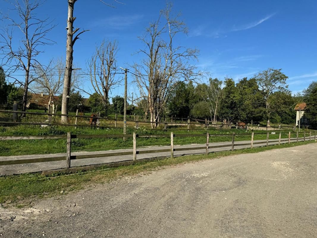 ESBLY Propriété equestre Esbly 18000m2 4